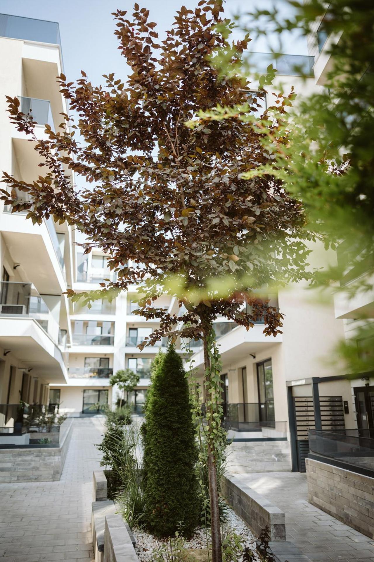 Dec Apartments Bucharest Exterior photo
